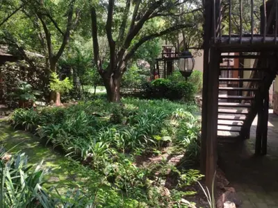 a garden with plants and a street light at Lapalosa Lodge in Centurion