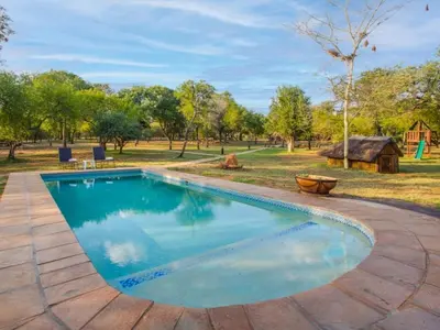 a swimming pool in the middle of a yard at Kubu Bush Lodge in Hoedspruit