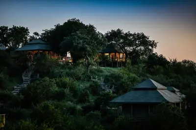 a house on top of a hill with trees at Simbavati Hilltop Lodge in Timbavati Game Reserve