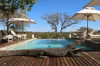 a crocodile laying on a deck next to a swimming pool at Simbavati Hilltop Lodge in Timbavati Game Reserve
