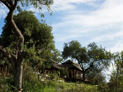 a house in the middle of some trees at Simbavati Hilltop Lodge in Timbavati Game Reserve