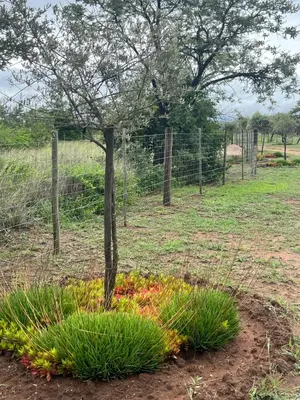 a tree in a flower bed in a field at The Acorn @ Skyfall Country Estate in Polokwane