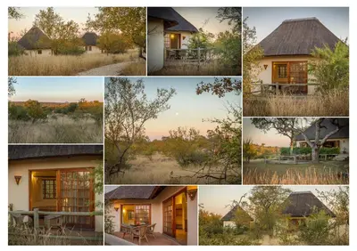 a collage of photos of a house at Mbizi Bush Lodge in Grietjie Nature Reserve