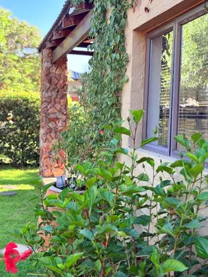 a building with a window and a red flower at The Cozy Nook @ Skyfall Country Estate in Polokwane