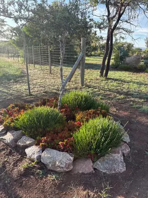 a garden with a fence and flowers in a yard at The Cozy Nook @ Skyfall Country Estate in Polokwane