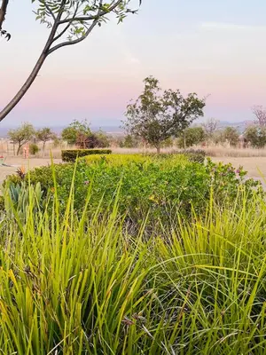 a field of grass with trees in the background at The Comfy Corner @ Skyfall Country Estate in Polokwane