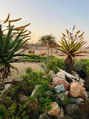 a garden with plants and rocks and palm trees at The Comfy Corner @ Skyfall Country Estate in Polokwane