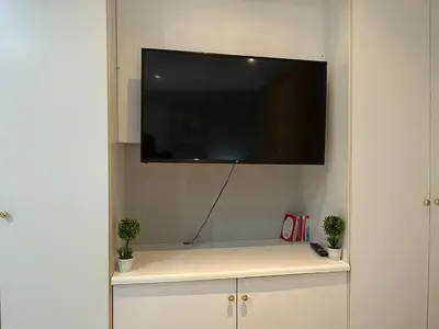 a flat screen tv on a wall with two plants at 337 Justice Mahomed Guest House in Pretoria