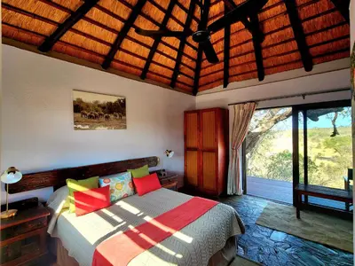 a bedroom with a bed and a large window at Mohlabetsi Self Catering Bush Lodge in Balule Game Reserve