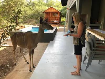 a woman standing next to a deer next to a pool at Modern Bush Living in Marloth Park