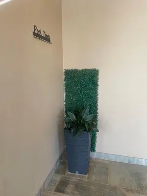a plant in a blue pot next to a wall at TrendyBliss Guest House in Northam