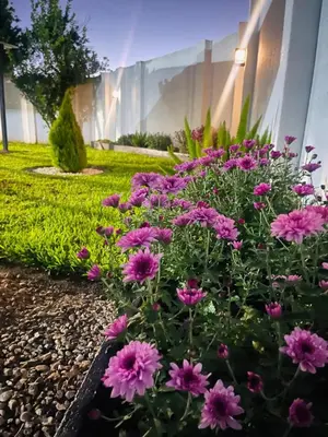 a bunch of pink flowers in front of a building at TrendyBliss Guest House in Northam
