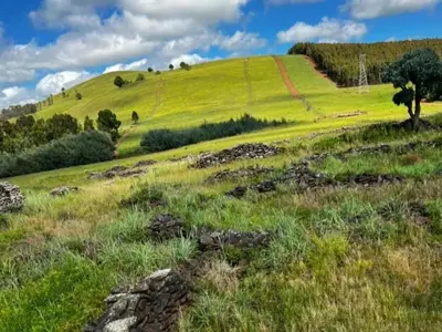a green hill with a tree in a field at Incwala Lodge in Waterval Boven