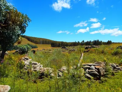 a field of grass with a pile of rocks at Incwala Lodge in Waterval Boven