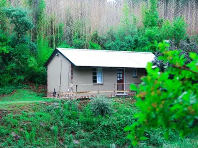 a small house in the middle of a forest at Incwala Lodge in Waterval Boven
