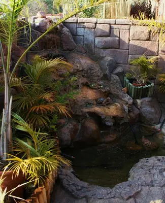 a pond in a garden with a stone wall at Pietersburg Lodge in Polokwane