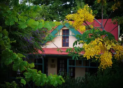 a house obscured by trees with yellow flowers at Petal Faire Cottage in Pretoria