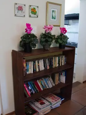 a book shelf filled with books and potted plants at Petal Faire Cottage in Pretoria