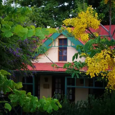Petal Faire Cottage