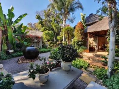 a garden with potted plants on a table at Waterhouse Guest Lodge in Waterkloof in Pretoria