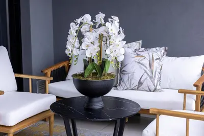a vase with white flowers on a table in a living room at The Cassini Diamond @ Ellipse Waterfall in Midrand
