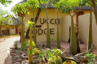 a garden with palm trees in front of a building at Lucca Lodge in Musina