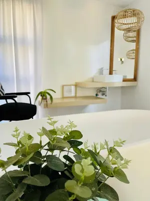 a green plant sitting on a white table with a mirror at Tjimaka Farm in Hazyview