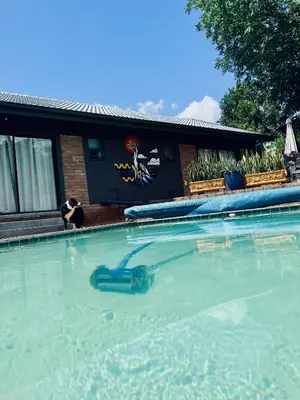 a swimming pool with a toy in the water at Elizabeth the 7th in Tzaneen