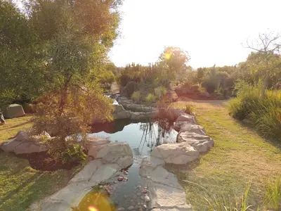 a stream of water with rocks in a garden at Strawberry Fields Country Manor Guest House in Johannesburg