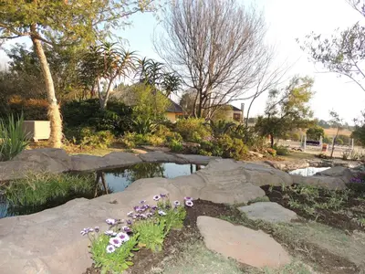 a garden with a pond and some flowers and trees at Strawberry Fields Country Manor Guest House in Johannesburg