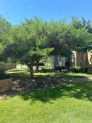 a group of trees in the grass in front of a house at Golf Suites @ Copperleaf in Centurion