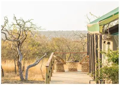 a wooden walkway leading to a house in a field at Timbavati Safari Lodge in Mbabat