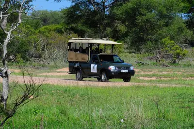 a green jeep driving down a dirt road at Timbavati Safari Lodge in Mbabat