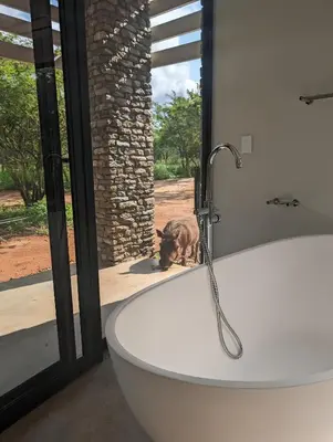a bath tub with a dog looking out the window at Ungava Retreat in Marloth Park