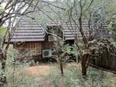 a small wooden house in a yard with trees at Hedgehog Cabin in Marloth Park