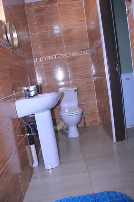 a bathroom with a sink and a toilet at Mashaka Ashu Lodge in Dzindi