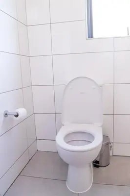 a white bathroom with a toilet and a roll of toilet paper at Secure 1 Bedroom Apartment in Midrand, Waterfall City - Lock Up and Go - Free WIFI and Parking - 8 Elizabeth Place in Midrand