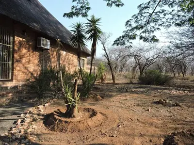 a tree in the dirt next to a building at Collin's Rest in Marloth Park