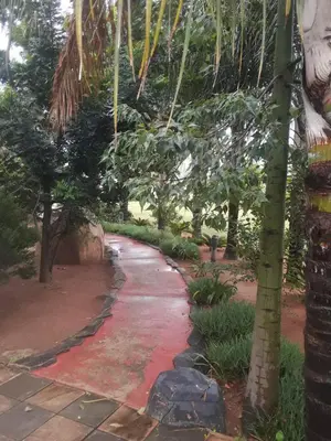 a red path in a garden with trees at Loding Lodge in Loding