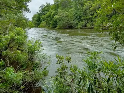 a river with rapids on it with trees at The Blyde Canyon House in Hoedspruit