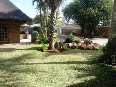 a palm tree in a yard next to a house at Siesta Guest House in Musina