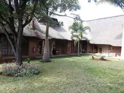 a building with a palm tree in the yard at Siesta Guest House in Musina
