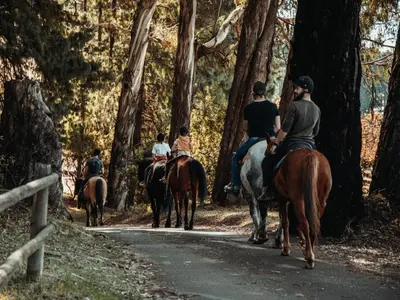 a group of people riding horses down a road at Sensiri Myst Country House in Dullstroom