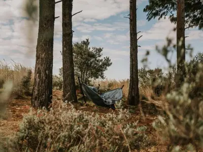 a hammock in the woods next to trees at Sensiri Myst Country House in Dullstroom