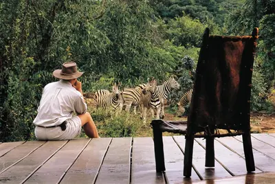 a man sitting on a deck looking at zebras at Makweti Safari Lodge in Welgevonden Game Reserve