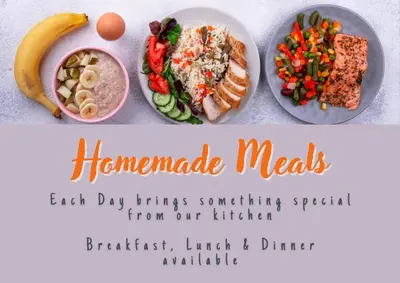 a flyer for a hammedcible meals with a plate of food at Mamuka Africa in Midrand