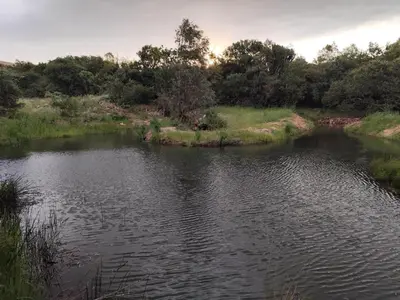a body of water with trees in the background at Bethesda Mountain Lodge in De Wildt