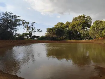 a large body of water with trees in the background at Bethesda Mountain Lodge in De Wildt