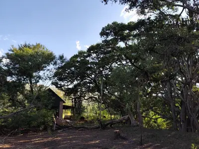 a house in the middle of a forest with trees at Bethesda Mountain Lodge in De Wildt