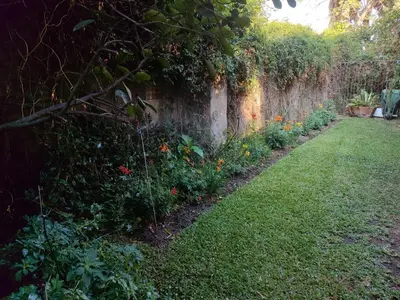 a garden with a stone wall and some flowers at Serendipity in Kampersrus AH